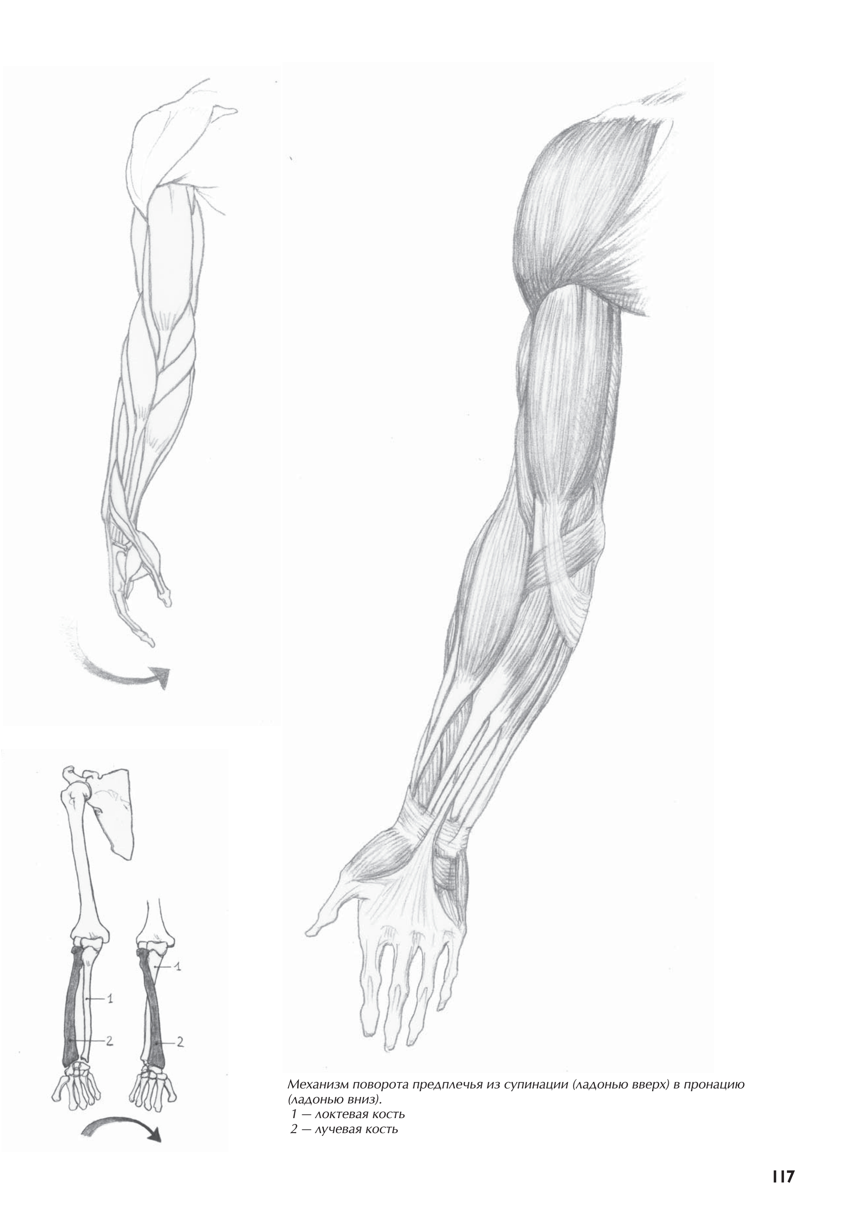 آموزش نقاشی طراحی سیاه قلم شهرری